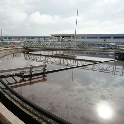 Sludge Treatment Equipment Center / Peripheral Drive Central Drive Full Bridge Sludge Scraper