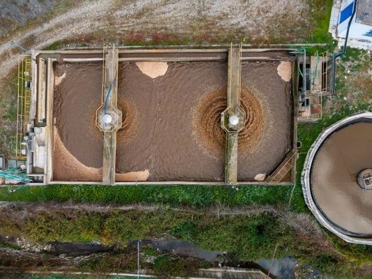 Custom Size Slaughterhouse Wastewater Treatment Equipment