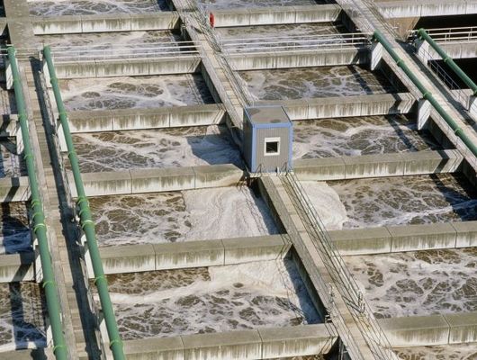 Custom Size Slaughterhouse Wastewater Treatment Equipment